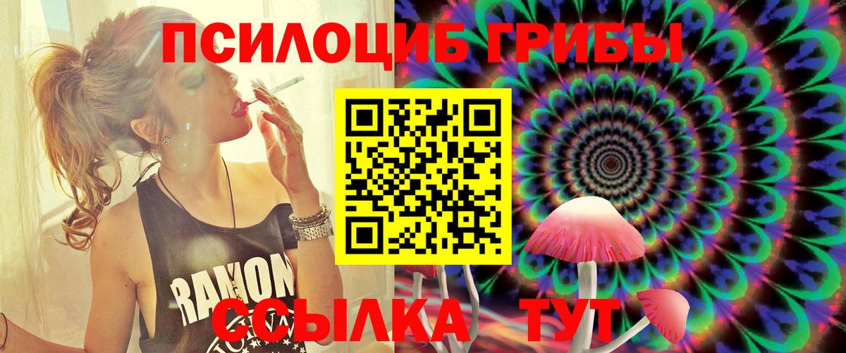 Псилоцибиновые грибы Psilocybe Тосно