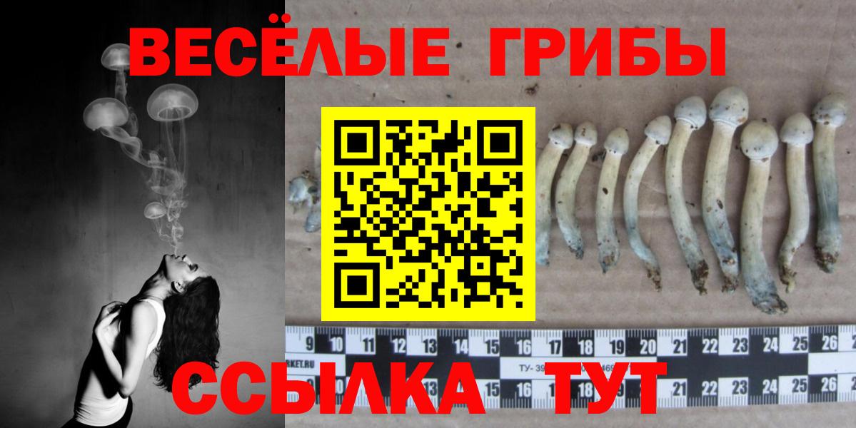 Псилоцибиновые грибы ЛСД  Вход с VPN  Галлюциногенные грибы ЛСД  Тосно 
